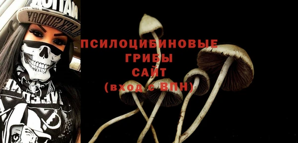Альфа ПВП Армянск