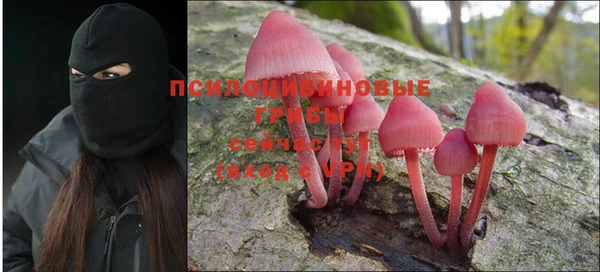 Альфа ПВП Армянск