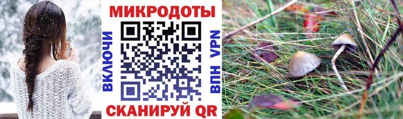 где продают наркотики  Рыбное  Галлюциногенные грибы GOLDEN TEACHER 